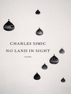 cover image of No Land in Sight
